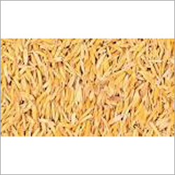Rice Husk