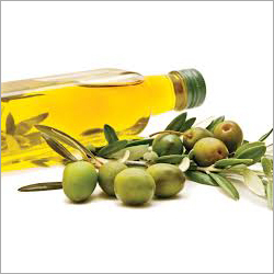 Olive Oil