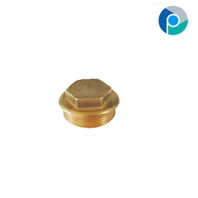 Brass PPR Plug