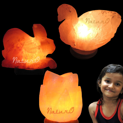Naturo Special Shaped Rocksalt Lamps