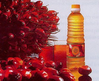 Palm oil