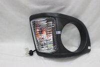 Side Light Assembly Mahendra Alfa With Eyes - Material: Plastic And Crystal
