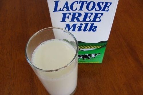 100% Lactose free Milk Milk Sugar