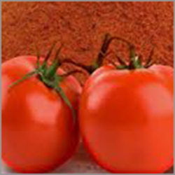 Dried Tomato Powder