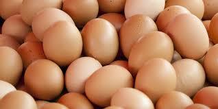 Fresh Chicken Eggs ( Brown and White Fresh chicken Eggs)