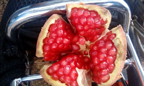 Pomogranate