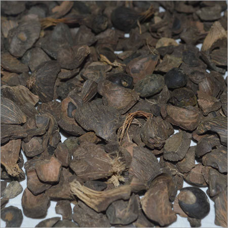 Palm Kernel Shell