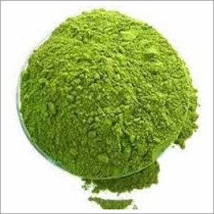 Dry Moringa Powder