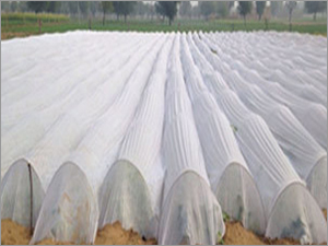 UV Treated Non Woven Fabric