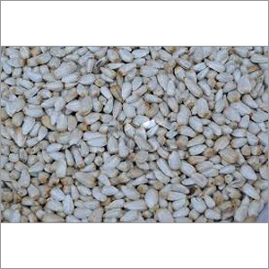 Kardi Seeds