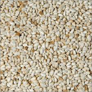 Safflower Seeds