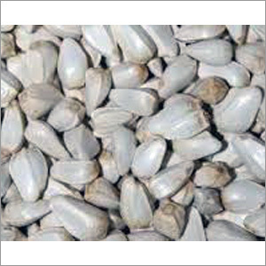 Glabrous Safflower Seeds