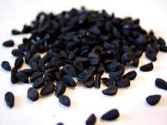 Onion Seeds
