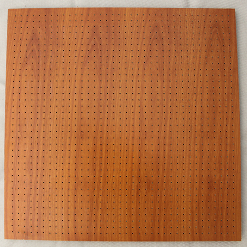 Aucostic Panel