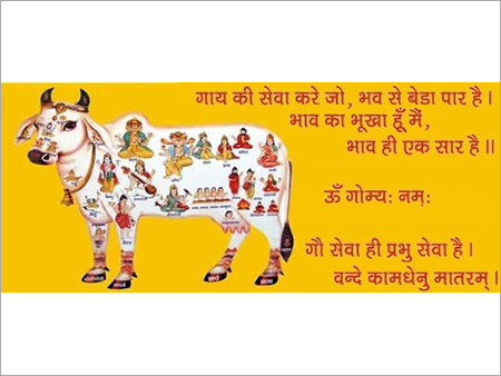 Cow Welfare NGO