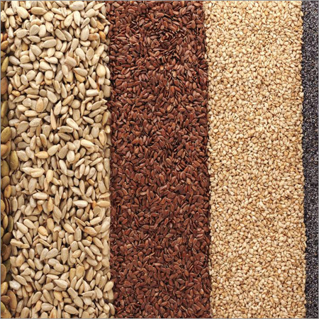 Spices Seed