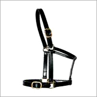 Horse Riding Equipments