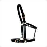 Horse Riding Equipments