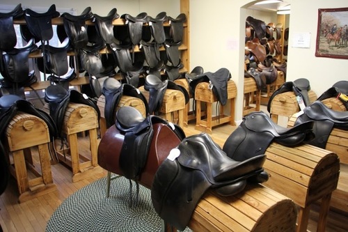 Glossy Saddleds