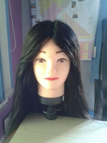 Human Hair Wigs