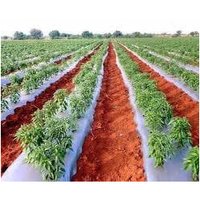Mulching Sheet Moisture Proof