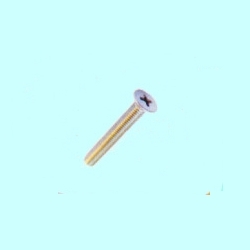 Brass Screws