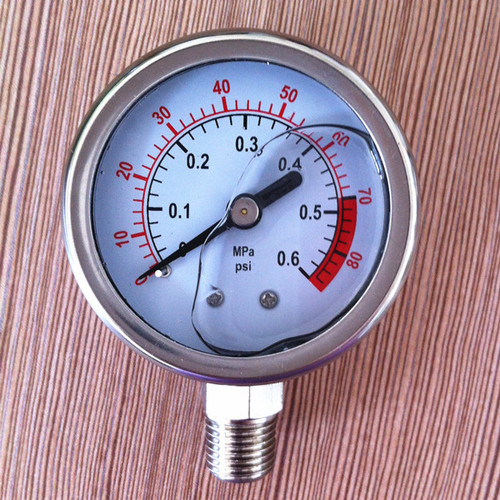 Glycerin filled Gauges