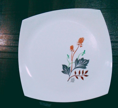 Catering Plate