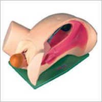 Leopold Maneuvers Simulator - Color: Realistic Skin Tones