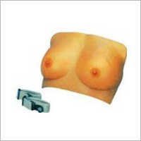 Breast Examination Model