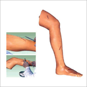 Surgical Suture Leg Model By BIOLAB (INDIA)