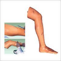 Surgical Suture Leg Model