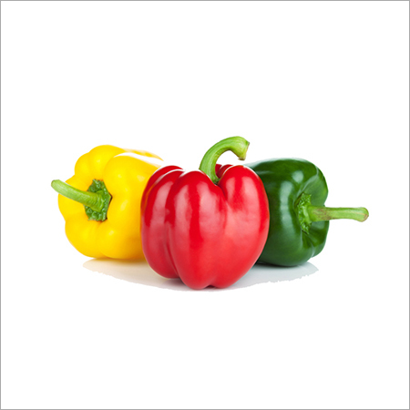 Capsicum (Shimla Mirch)
