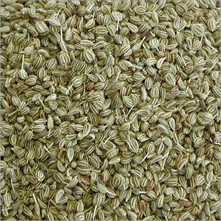 Green Carom Ithymol Seed (Ajwain)