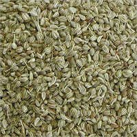 Carom Ithymol Seed (Ajwain)