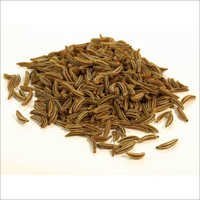 Cumin Seeds (Jeera)