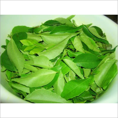 Green Curry Leaf