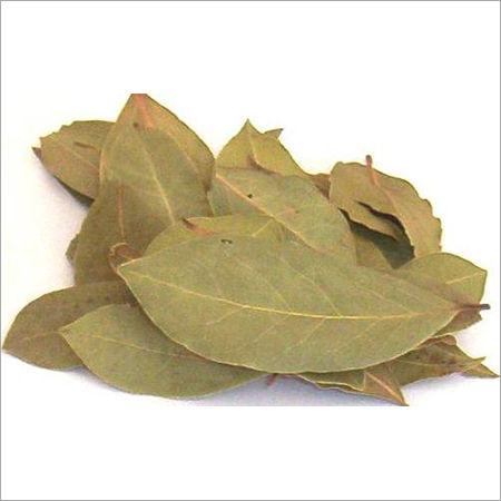 Yellow Dried Bay Leaves