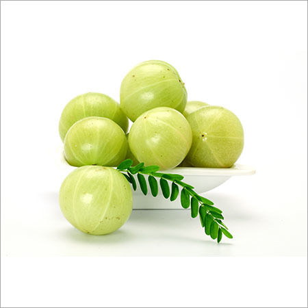 Green Indian Gooseberry (Amla)