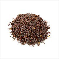 Brownmustard Seed (Rai)