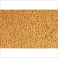 Mustard Seed (Sarson)