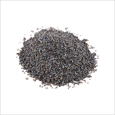 Black Poppy Seeds (Khus Khus)