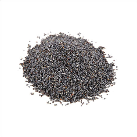 Poppy Seeds (Khus Khus)