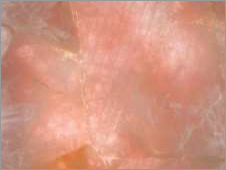 Semi Precious Stone Slab