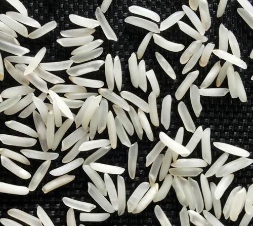 SHARBATI BASMATI RICE