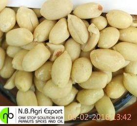 Fresh Blanched Groundnuts