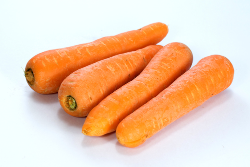 Carrot