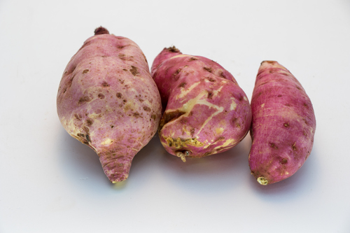 Sweet Potato