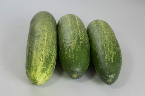 Cucumber