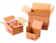 Brown Corrugated Box(6x6x6 inch)